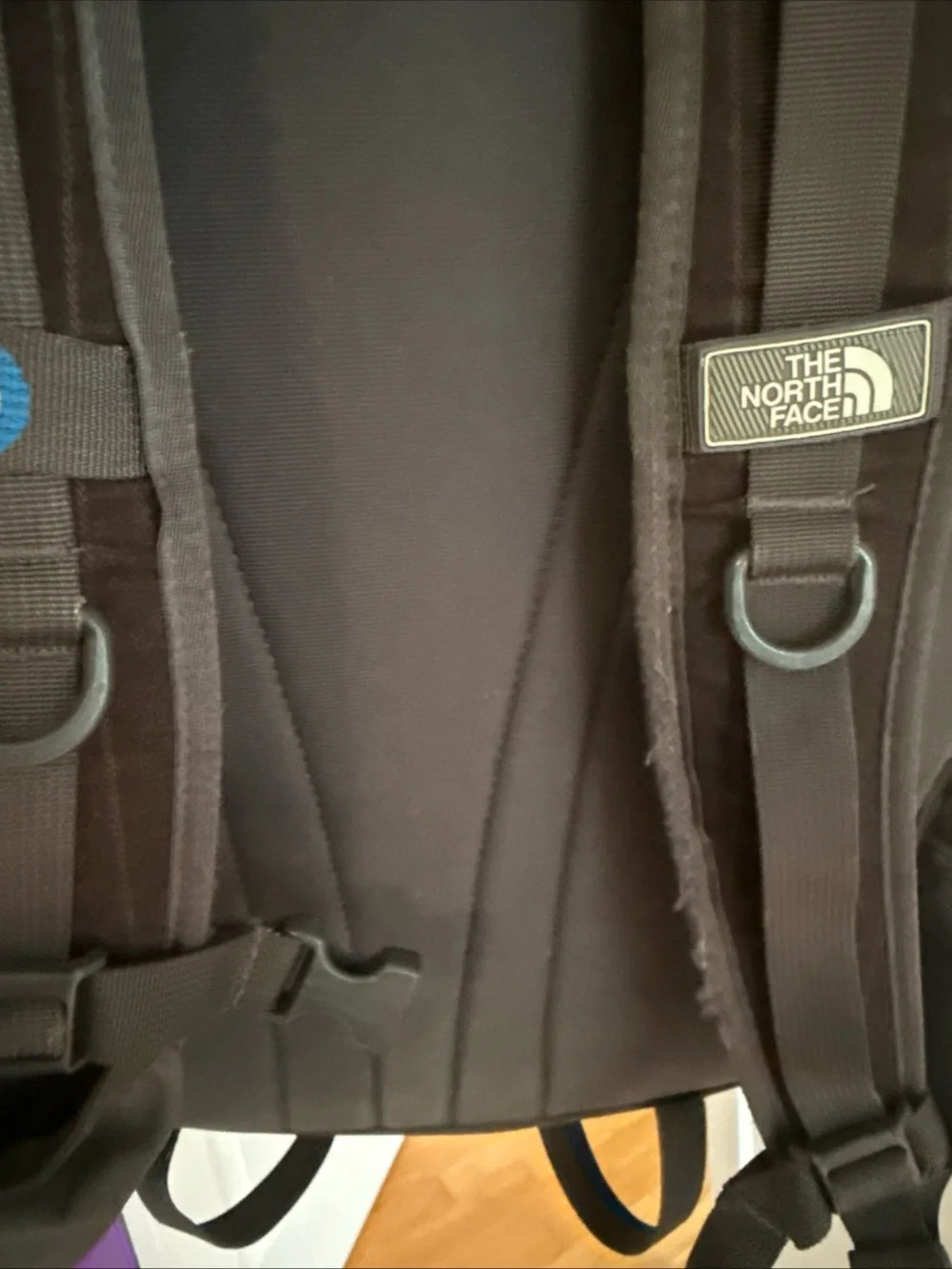 The North Face Black Vintage Recon Pinstripe 30 L Backpack Phish Donut Interior